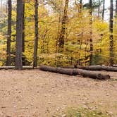 Review photo of Bear Brook State Park Campground by Jean C., November 1, 2019