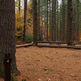 Review photo of Bear Brook State Park Campground by Jean C., November 1, 2019