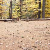 Review photo of Bear Brook State Park Campground by Jean C., November 1, 2019