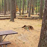 Review photo of Bear Brook State Park Campground by Jean C., November 1, 2019