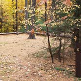 Review photo of Bear Brook State Park Campground by Jean C., November 1, 2019