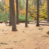 Review photo of Bear Brook State Park Campground by Jean C., November 1, 2019