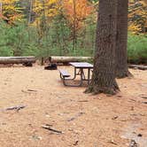 Review photo of Bear Brook State Park Campground by Jean C., November 1, 2019