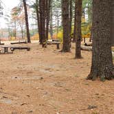 Review photo of Bear Brook State Park Campground by Jean C., November 1, 2019