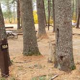 Review photo of Bear Brook State Park Campground by Jean C., November 1, 2019