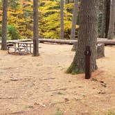 Review photo of Bear Brook State Park Campground by Jean C., November 1, 2019