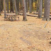 Review photo of Bear Brook State Park Campground by Jean C., November 1, 2019