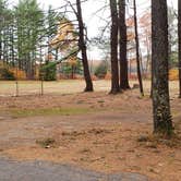 Review photo of Bear Brook State Park Campground by Jean C., November 1, 2019