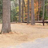 Review photo of Bear Brook State Park Campground by Jean C., November 1, 2019