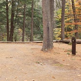Review photo of Bear Brook State Park Campground by Jean C., November 1, 2019
