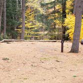 Review photo of Bear Brook State Park Campground by Jean C., November 1, 2019