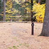 Review photo of Bear Brook State Park Campground by Jean C., November 1, 2019