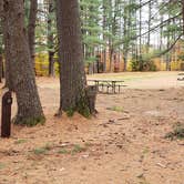 Review photo of Bear Brook State Park Campground by Jean C., November 1, 2019