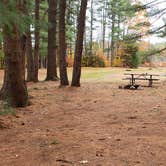 Review photo of Bear Brook State Park Campground by Jean C., November 1, 2019