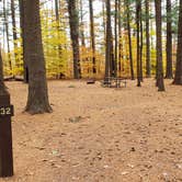 Review photo of Bear Brook State Park Campground by Jean C., November 1, 2019