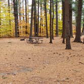 Review photo of Bear Brook State Park Campground by Jean C., November 1, 2019