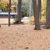 Review photo of Bear Brook State Park Campground by Jean C., November 1, 2019