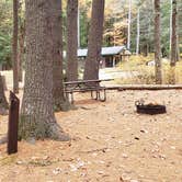 Review photo of Bear Brook State Park Campground by Jean C., November 1, 2019