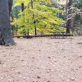 Review photo of Bear Brook State Park Campground by Jean C., November 1, 2019