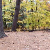 Review photo of Bear Brook State Park Campground by Jean C., November 1, 2019