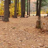 Review photo of Bear Brook State Park Campground by Jean C., November 1, 2019