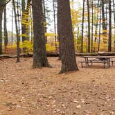 Review photo of Bear Brook State Park Campground by Jean C., November 1, 2019