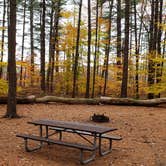 Review photo of Bear Brook State Park Campground by Jean C., November 1, 2019