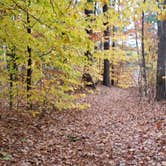 Review photo of Bear Brook State Park Campground by Jean C., November 1, 2019