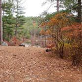 Review photo of Bear Brook State Park Campground by Jean C., November 1, 2019