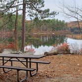 Review photo of Bear Brook State Park Campground by Jean C., November 1, 2019