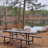 Review photo of Bear Brook State Park Campground by Jean C., November 1, 2019