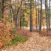 Review photo of Bear Brook State Park Campground by Jean C., November 1, 2019