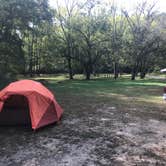 Review photo of Hueston Woods State Park Campground by Dave V., November 1, 2019