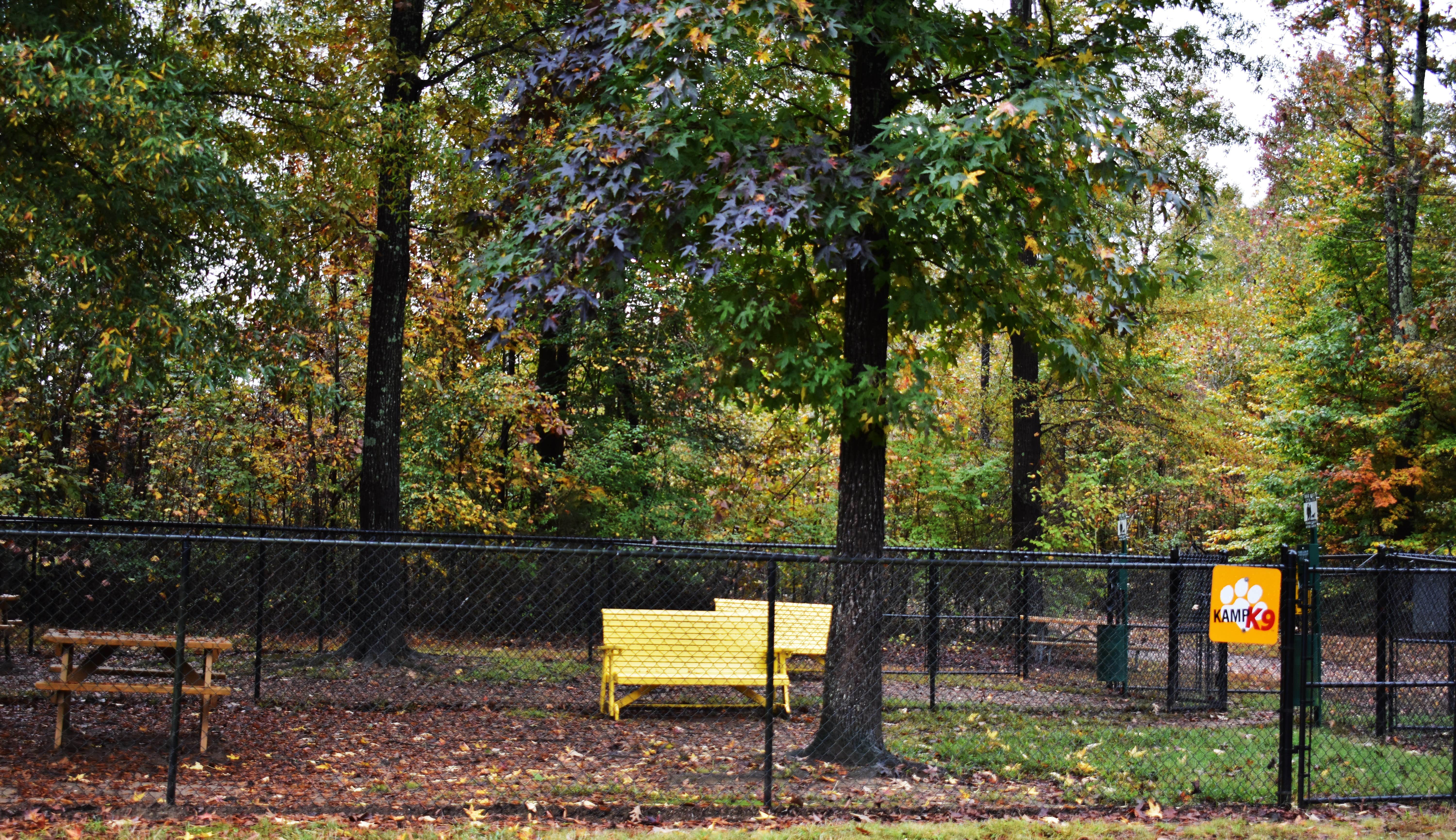 Camper-submitted photo at Greensboro KOA near Eden, NC