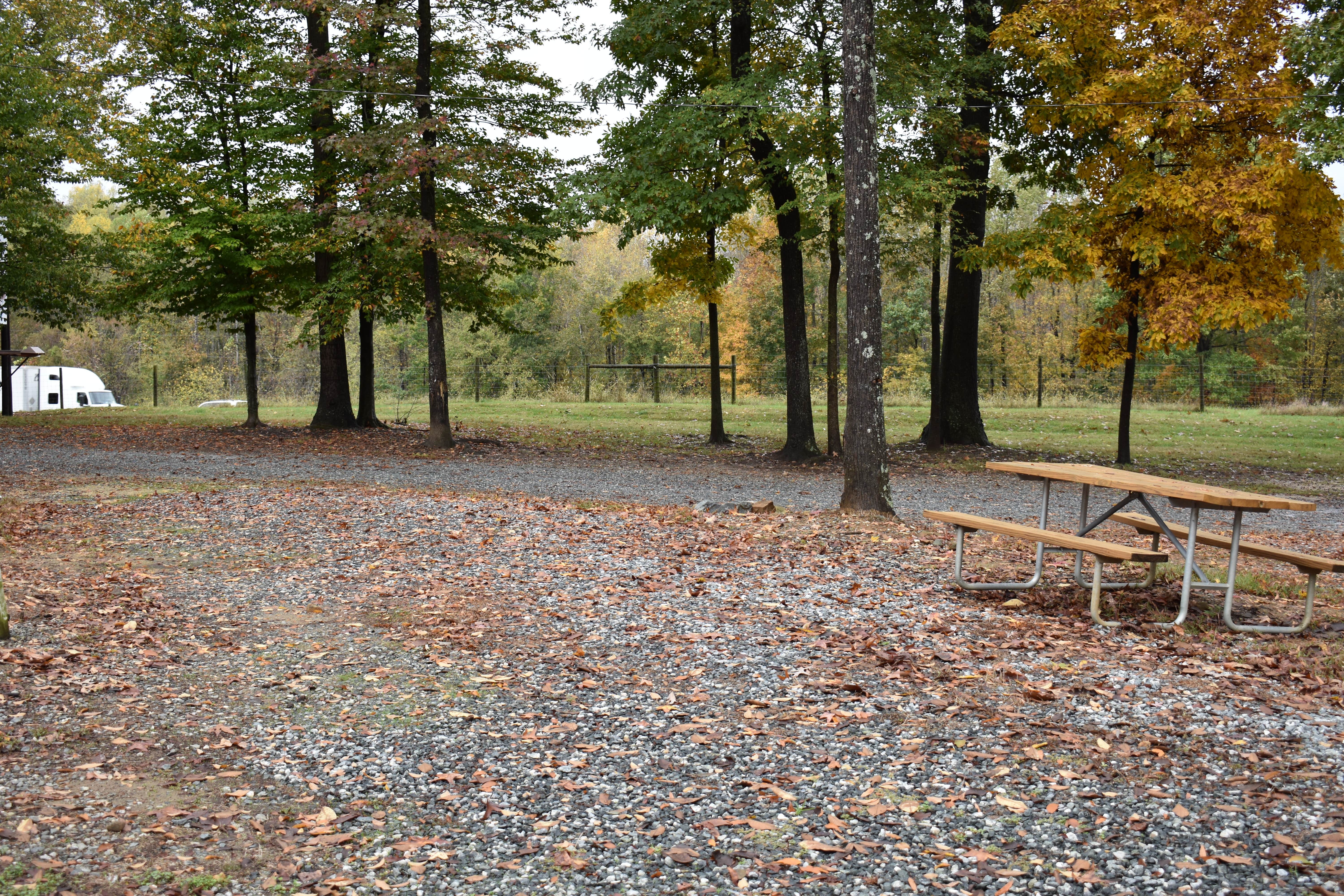 Camper-submitted photo at Greensboro KOA near Eden, NC