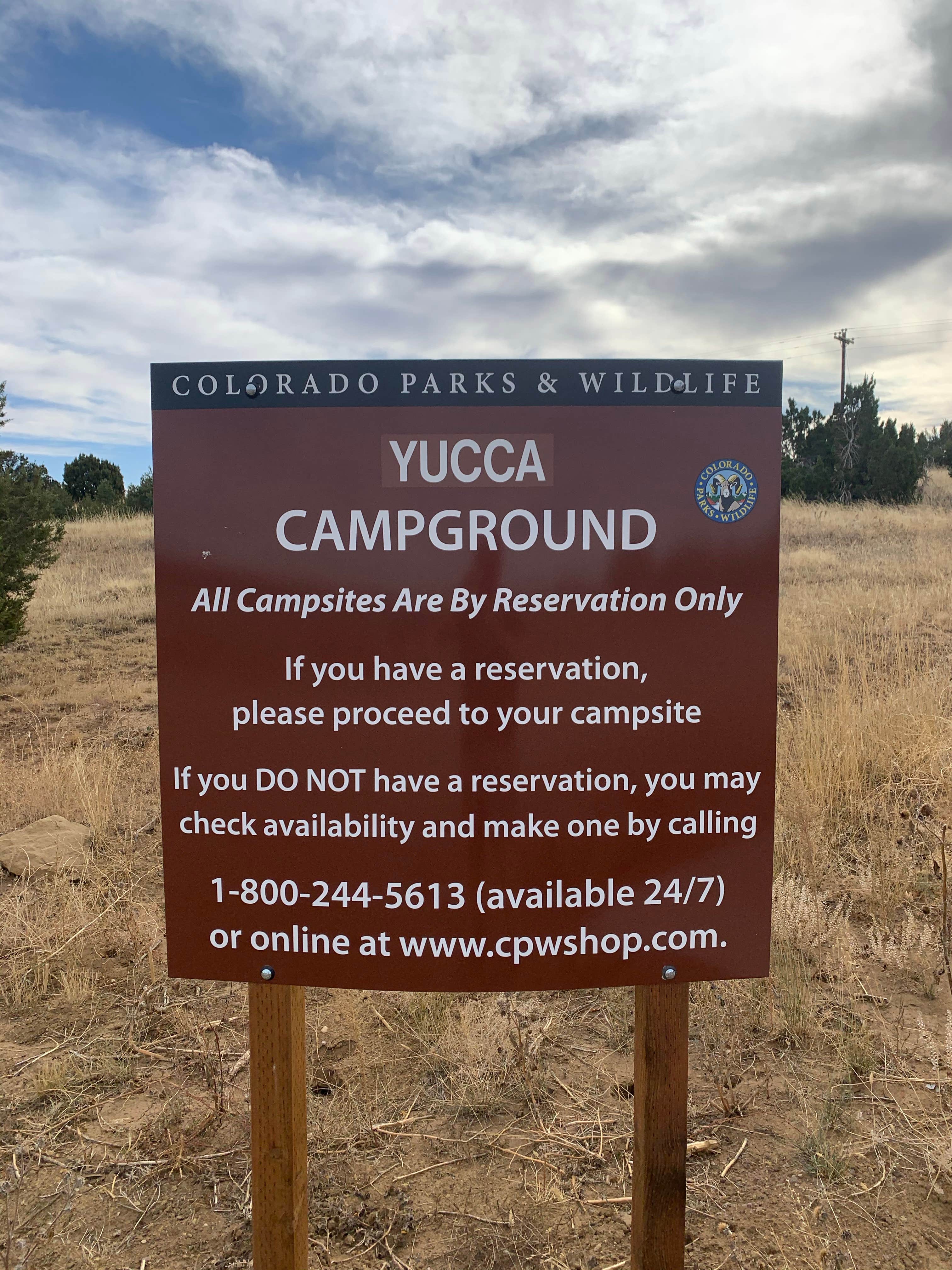 Camper submitted image from Piñon Campground — Lathrop State Park - 5