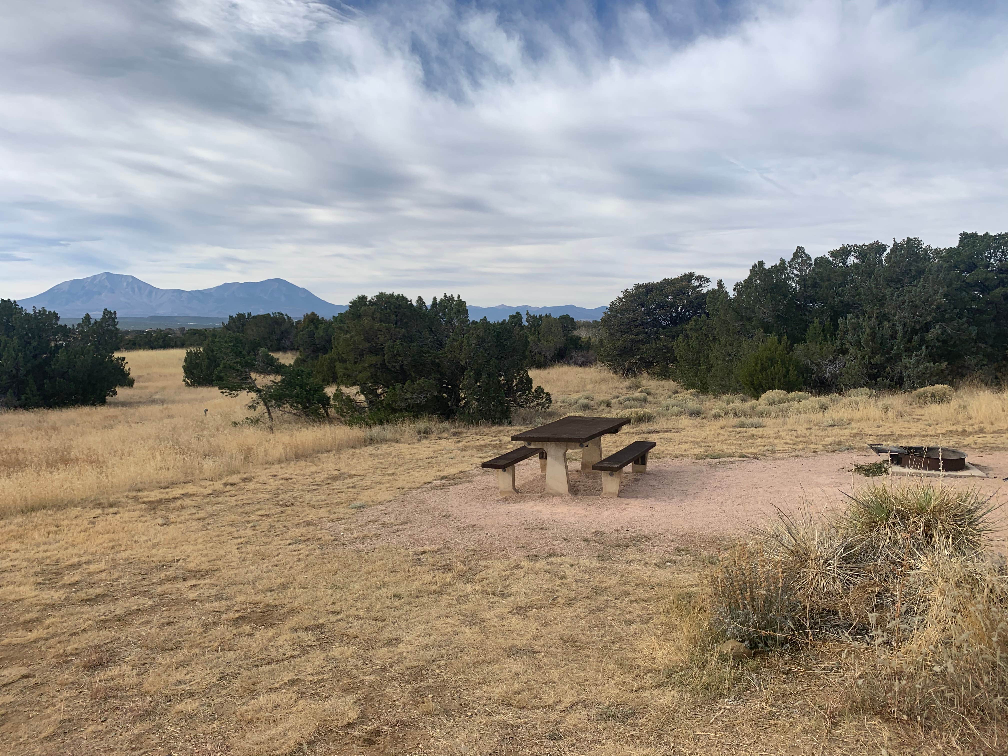 Piñon Campground — Lathrop State Park