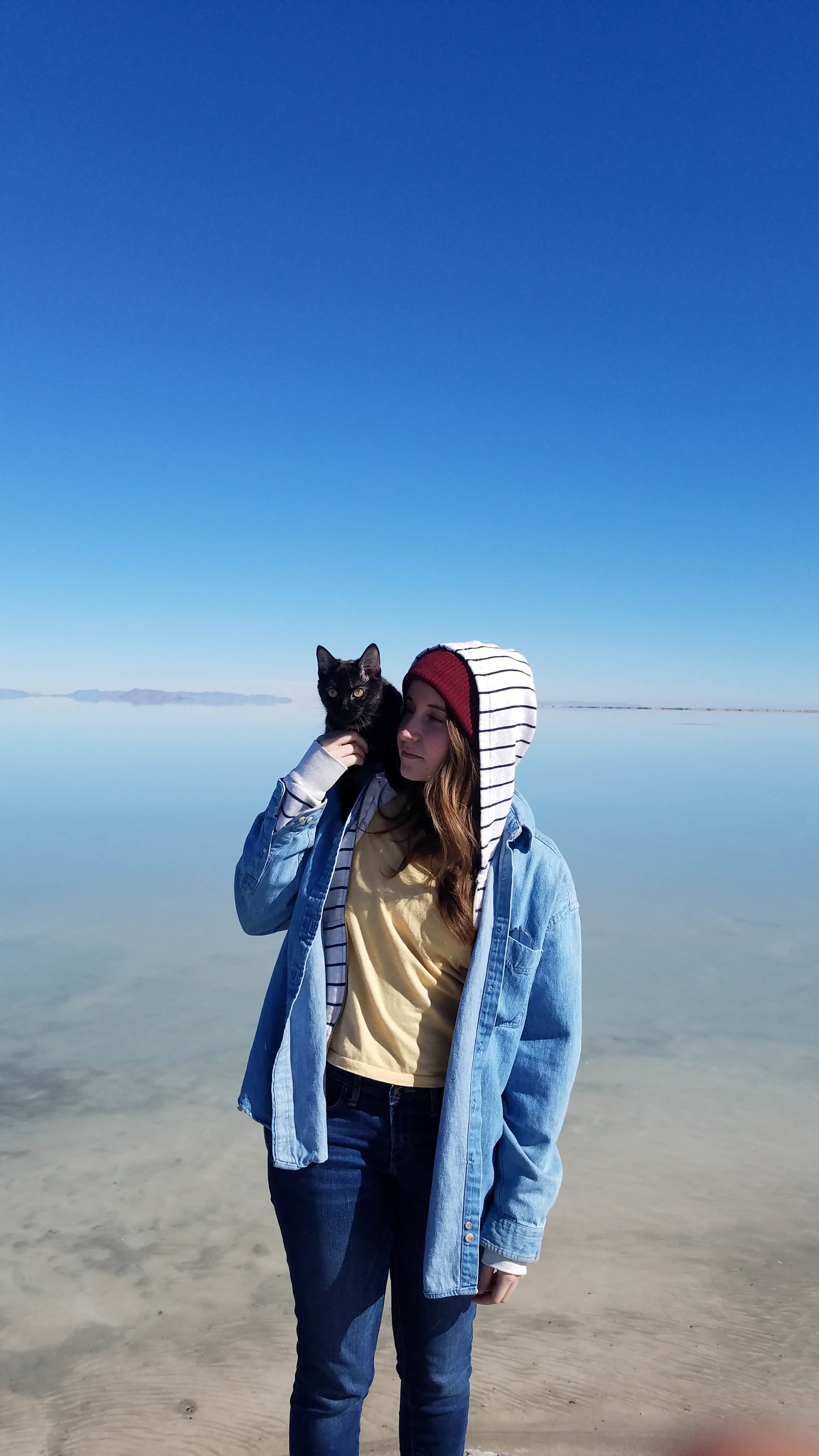 Camper-submitted photo at Wendover KOA near Ibapah, UT