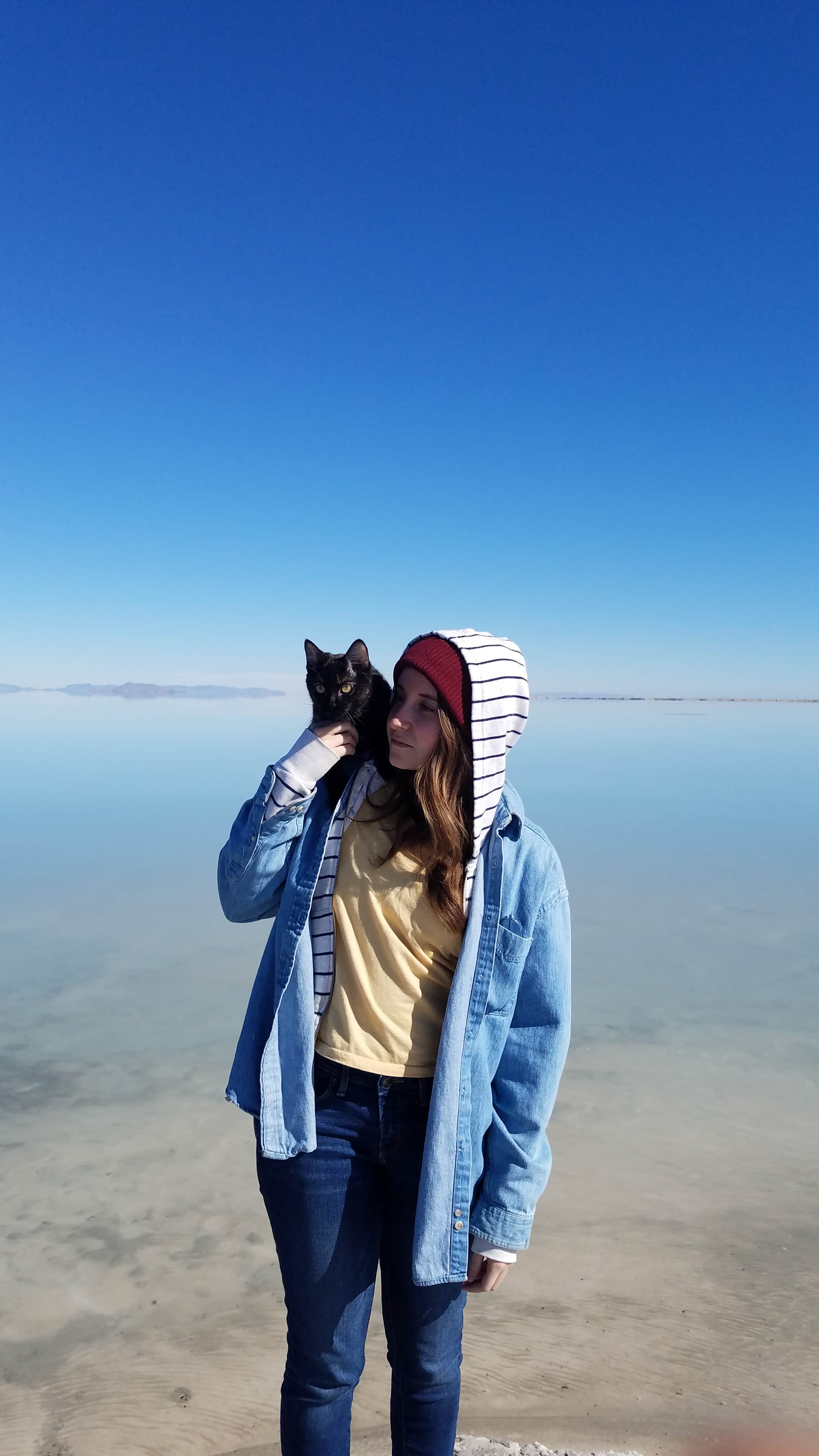 Camper-submitted photo at Wendover KOA near Ibapah, UT