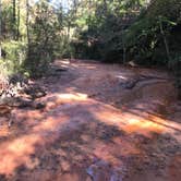 Review photo of Providence Canyon State Park Campground by Dave V., November 1, 2019