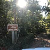 Review photo of Providence Canyon State Park Campground by Dave V., November 1, 2019