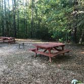 Review photo of Providence Canyon State Park Campground by Dave V., November 1, 2019