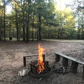 Review photo of Providence Canyon State Park Campground by Dave V., November 1, 2019