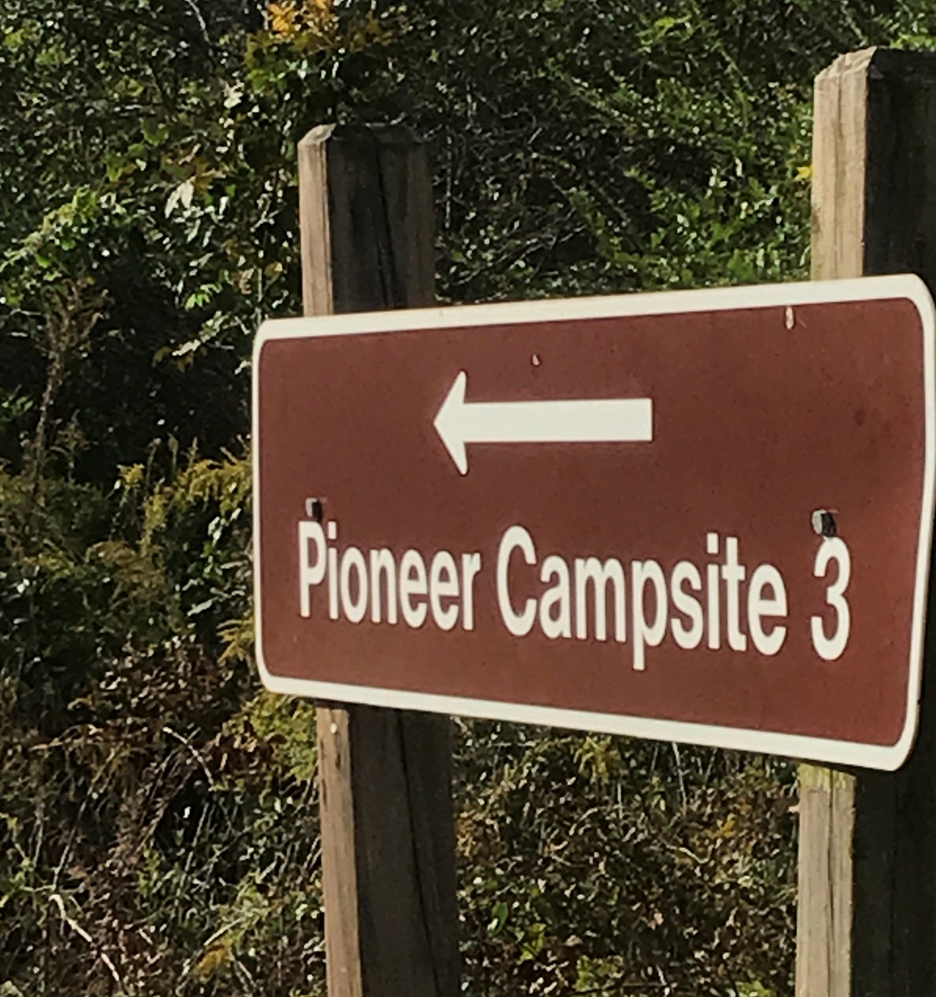 Pioneer Campsite 3 is directly to your left as you enter the main Park entrance.