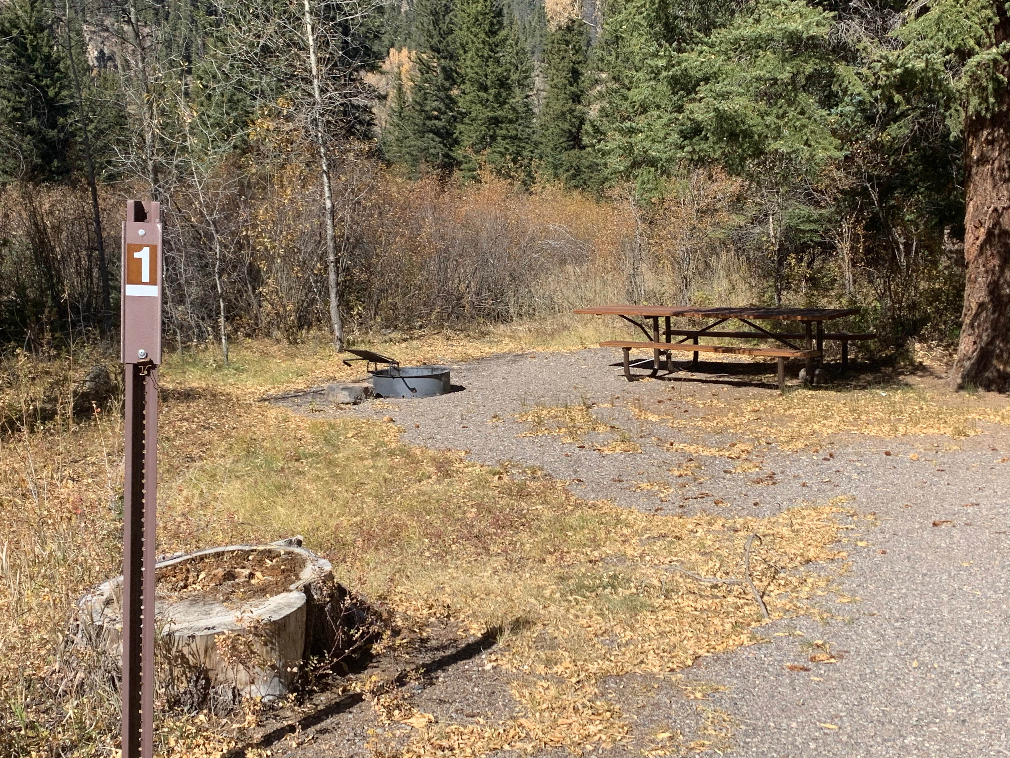 Camper-submitted photo at Park Creek Campground near Rio Grande National Forest