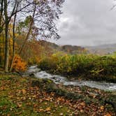 Review photo of Winngray Family Campground by Myron C., November 1, 2019