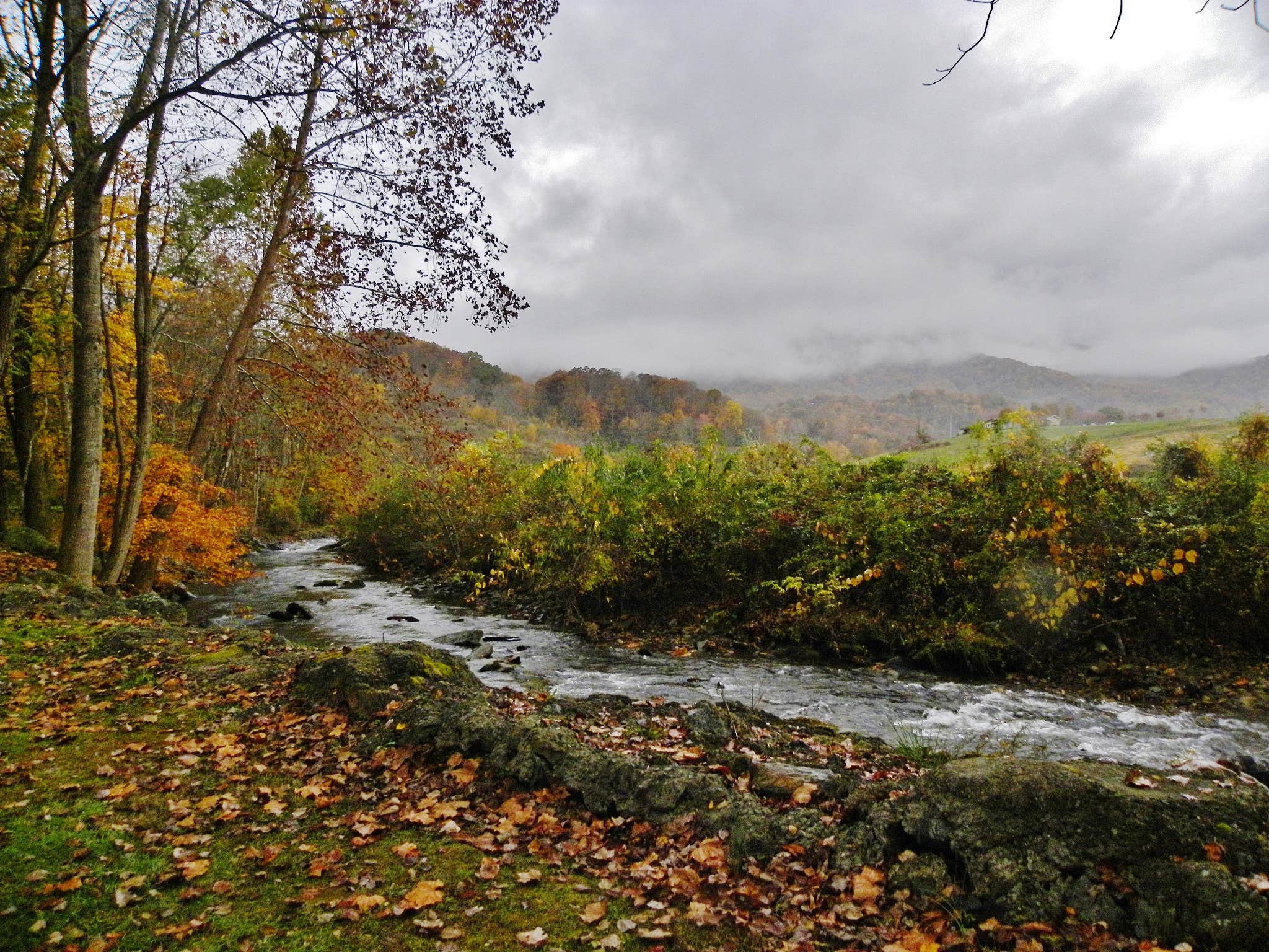 Camper submitted image from Winngray Family Campground - 4