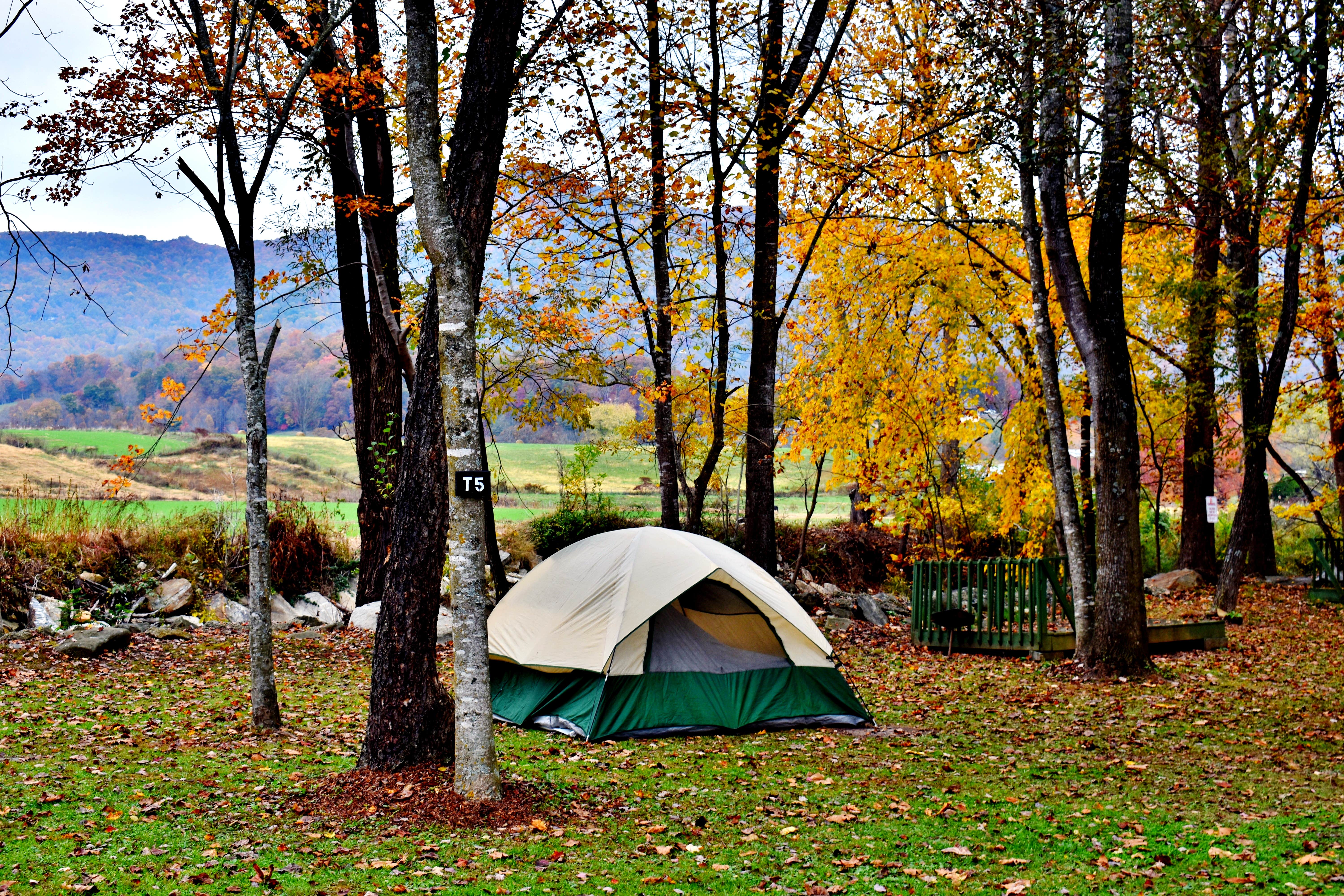 Myron C.'s photo at Winngray Family Campground near Waynesville, NC