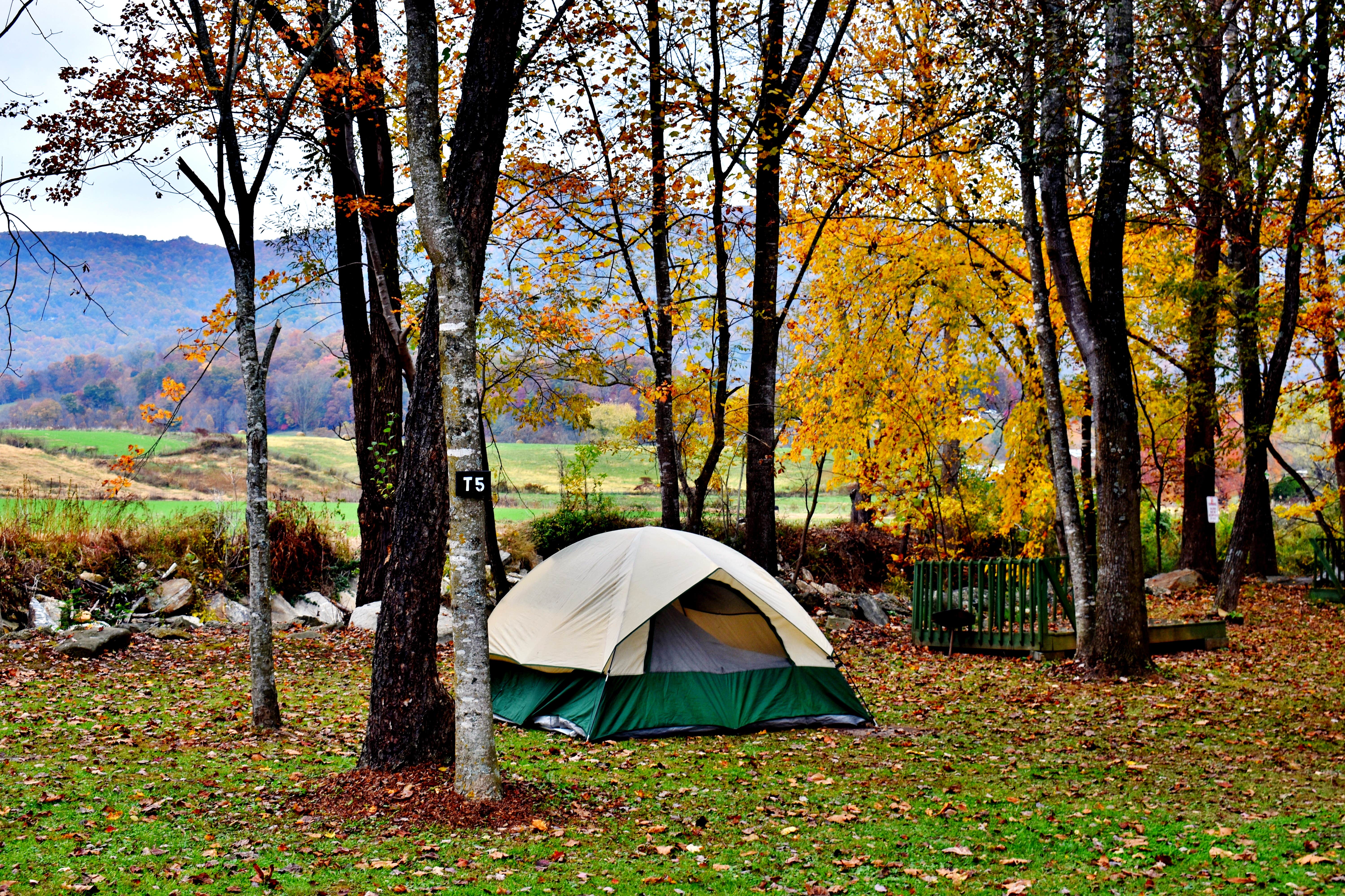 Camper submitted image from Winngray Family Campground - 3