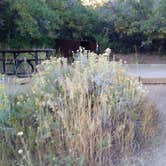 Review photo of Morefield Campground — Mesa Verde National Park by Dexter I., November 1, 2019